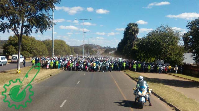 Massive . . .Thousands march through Belvedere along Samora Machel West into town.