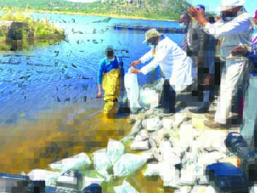 ED strikes right chord with dam construction