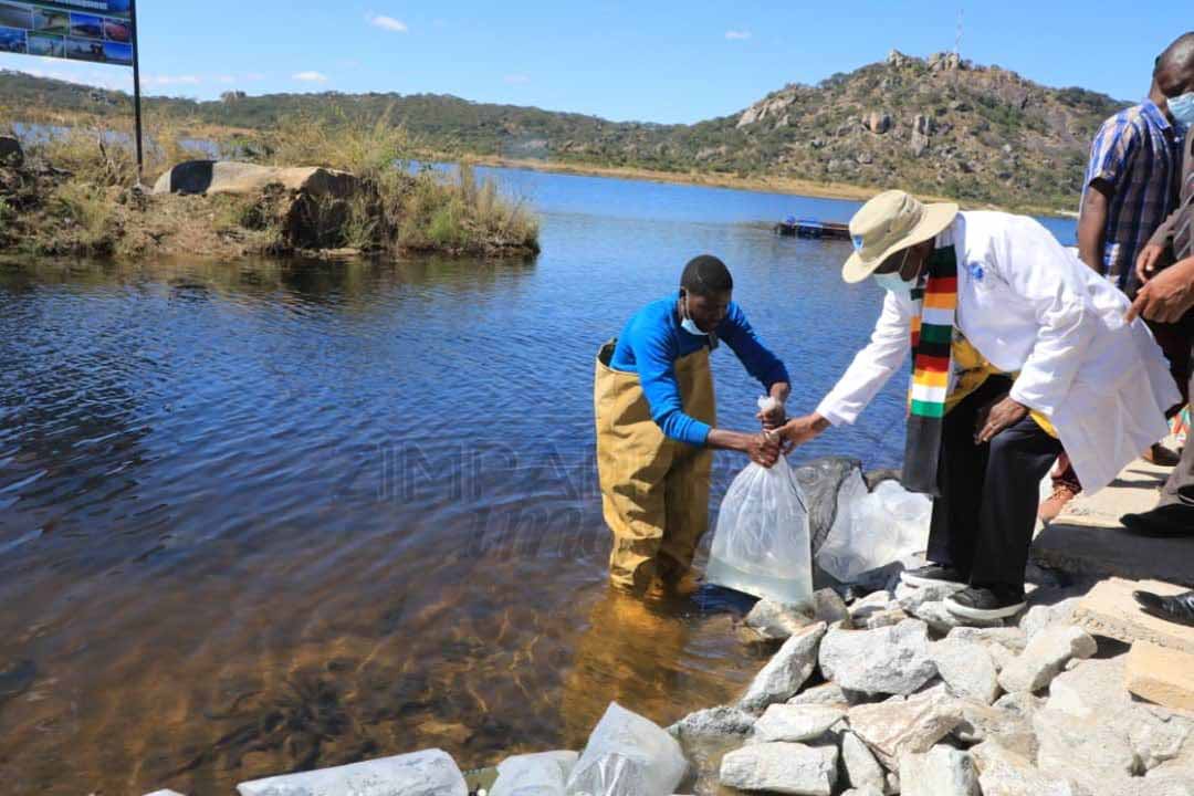 Dams breathe life into economy