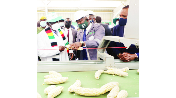 Seed plant: Milestone towards NDS1 goals