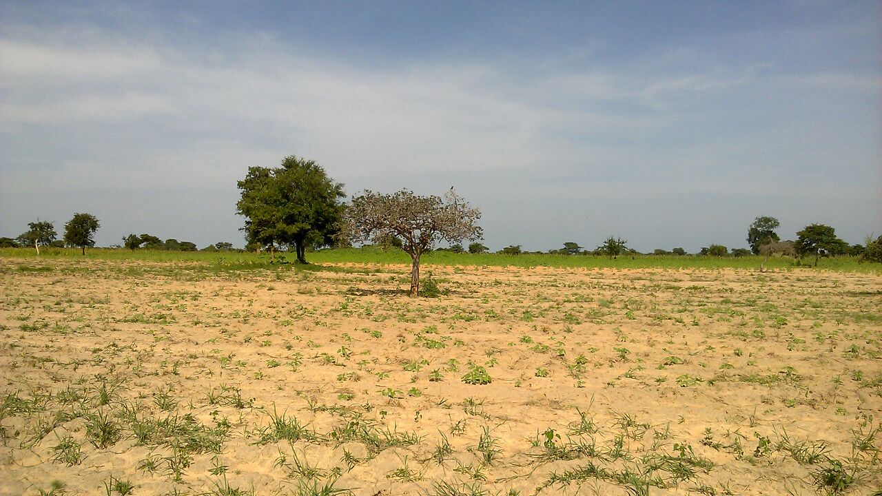 Premature end of rainy season blamed on climate change