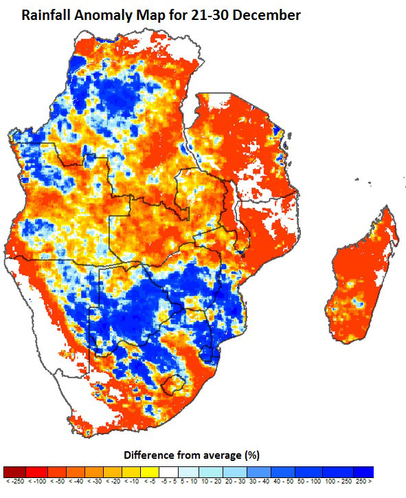 The analysis of the rainfall anomaly map indicates above normal (Yellow – blue colours) conditions for most parts of the region especially from the mid of December. Heavy rainfall of more 60% above the average was mainly recorded over western parts of Zimbabwe, areas bordering Zimbabwe and Mozambique and North Eastern parts of Botswana. Localised flooding have been reported in these areas. The rainfall forecast for December to February issued by the SADC Climate Service Centre indicates that the bulk of contiguous SADC region and Seychelles will have greater likelihood of normal to above-normal rainfall in the next three months (December- February). This will increase chances of localized episodic, flash floods.