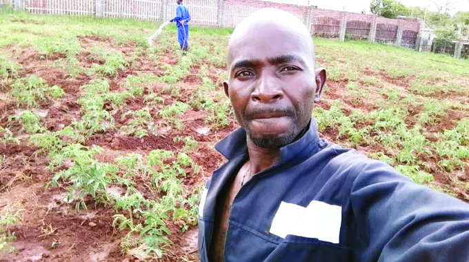 Struggling visual artists turn to farming