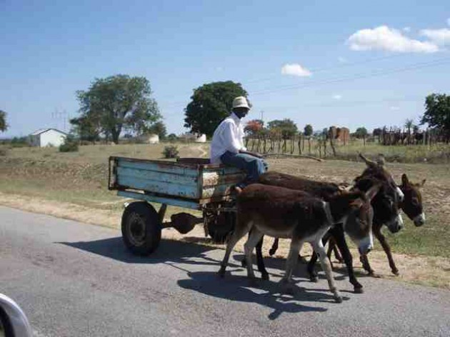 Real-Rural-Zimbabwe-Masvingo-area