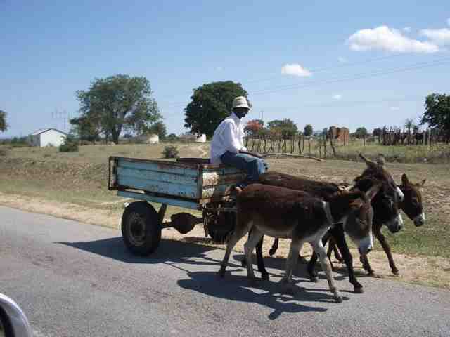 Charumbira villagers demand compensation before relocation