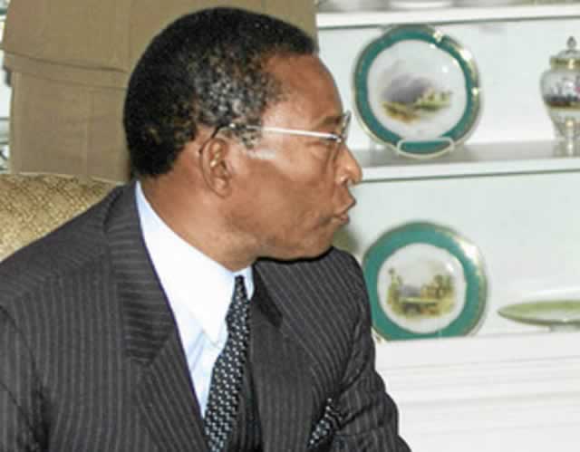 Graft: Get the tigers and the flies