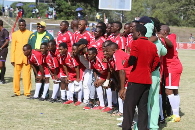 Sungura rules the roost