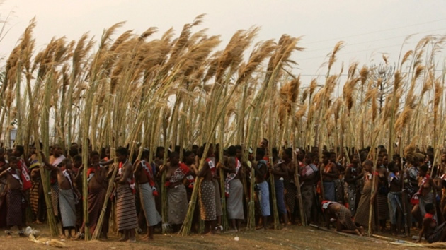 Dozens of girls and young women were killed in a crash while travelling to the famous traditional festival in Swaziland