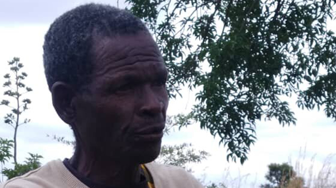 ‘Pamitengo Hurumende yatigonera’