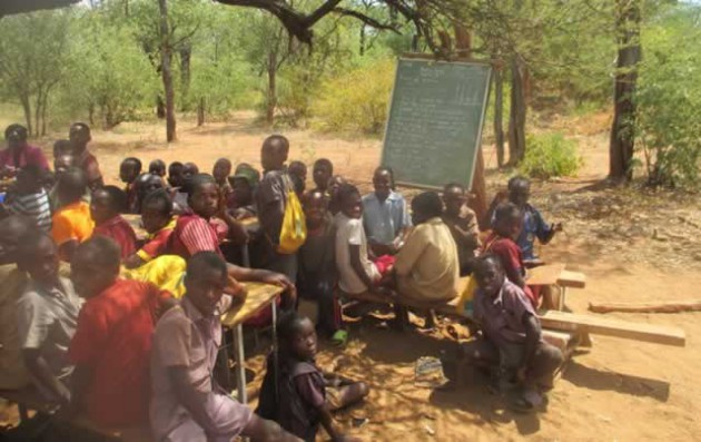 Nyuni Primary School children take their lessons under a tree
