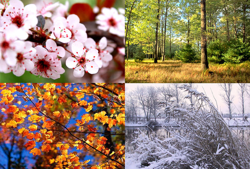 Why do we have seasons?