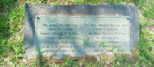 The plaque that was placed at the tree