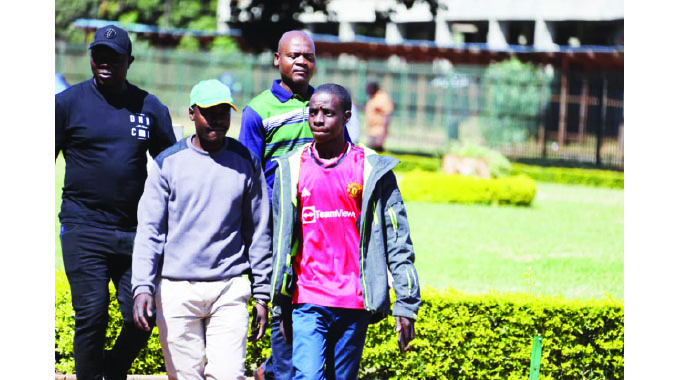Duo fined for possessing five lion skulls