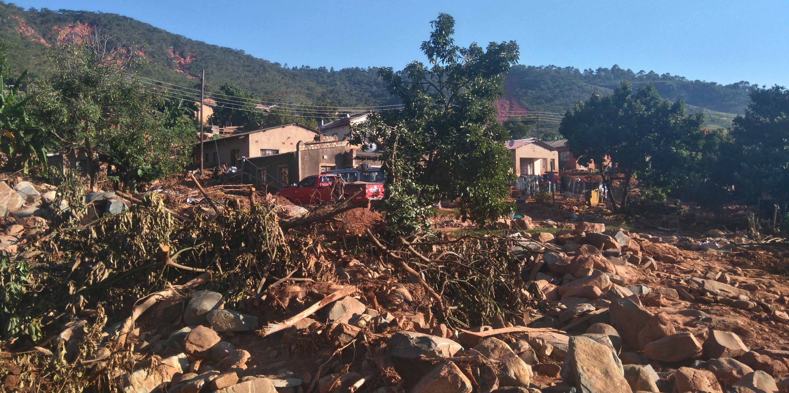 The phoenix of Chimanimani