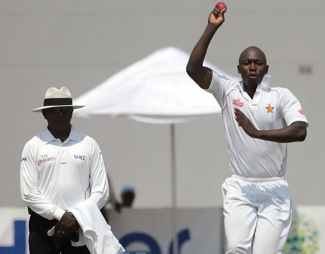 Roller-coaster year for cricket