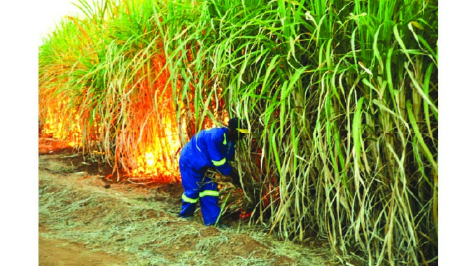 DRC eyes opportunities in Zim agric industry