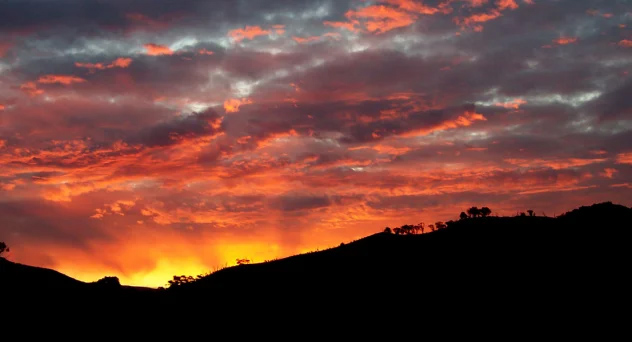 Sunsets