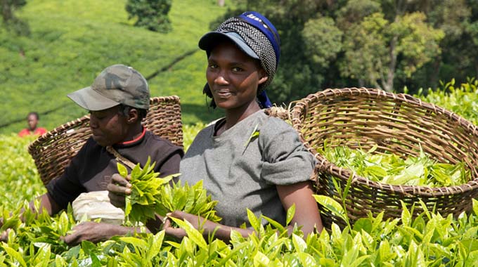 Sustainable buying in the supply chain
