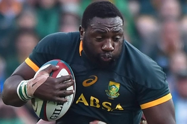 Beast bursts into Boks World Cup squad