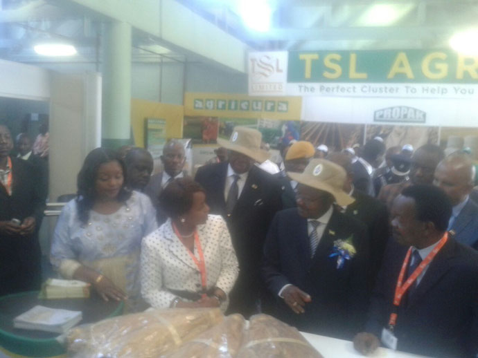 Guest of Honour VP Foh and VP Mphoko at the TIMB stand