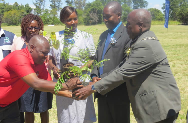 ‘Kutemwa kwemiti kwakoka nzara’
