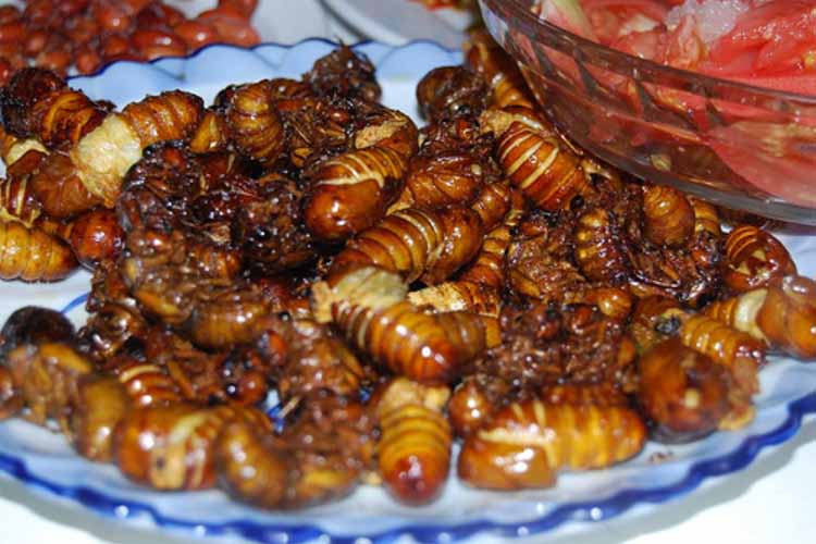 Imboravira tsambarafuta