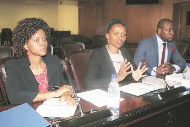 Minister Zhuwao implicated