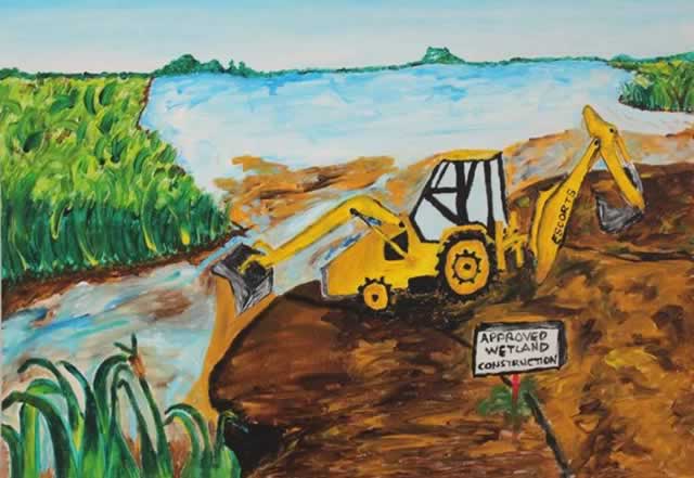 The ‘Vanishing Wetlands’ story