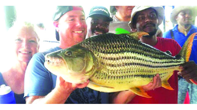 Its tiger fishing time, once again