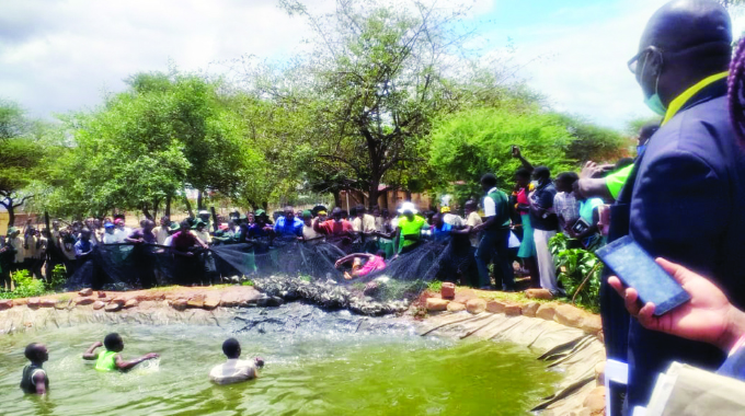 Tilapia farming transforms Chipinge school