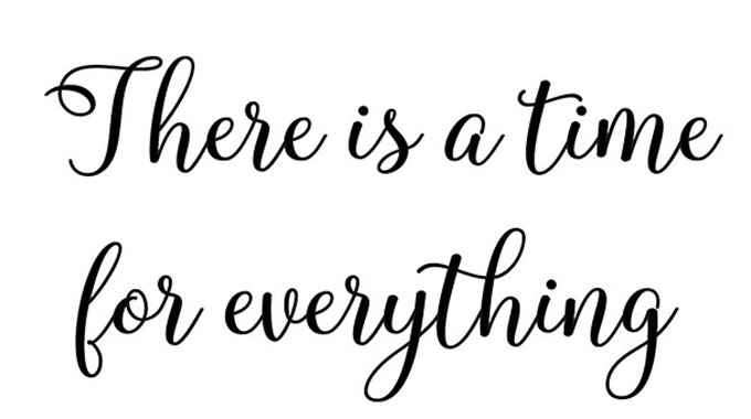There is a time for  everything; dating can wait