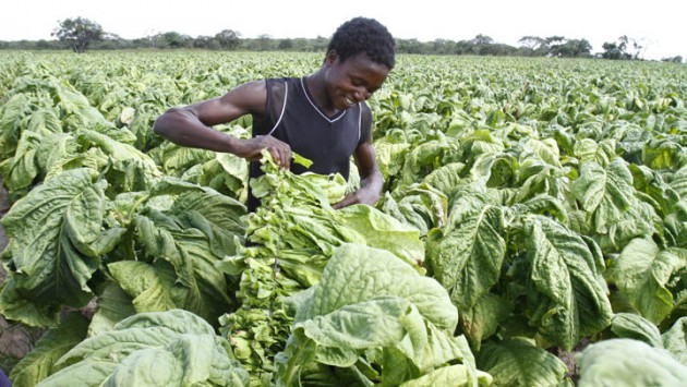 “Here in Zimbabwe we have economists who will tell you nothing will come of the land reform and economic empowerment”