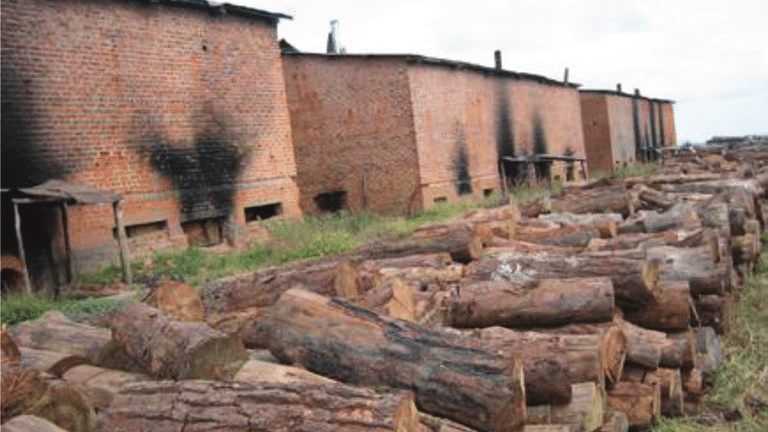 Fuel efficient curing barns the way to go