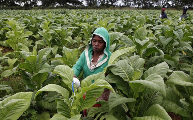 With President Mugabe’s guidance, Zimbabwe has pioneered land reform, offering an armature around which the rest of the sub-region can polish its act