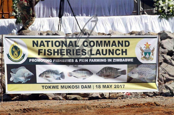 President Mugabe is also expected to commission a US$1 million fishery project at Tokwe Mukosi - Pic by Wilson Kakurira.