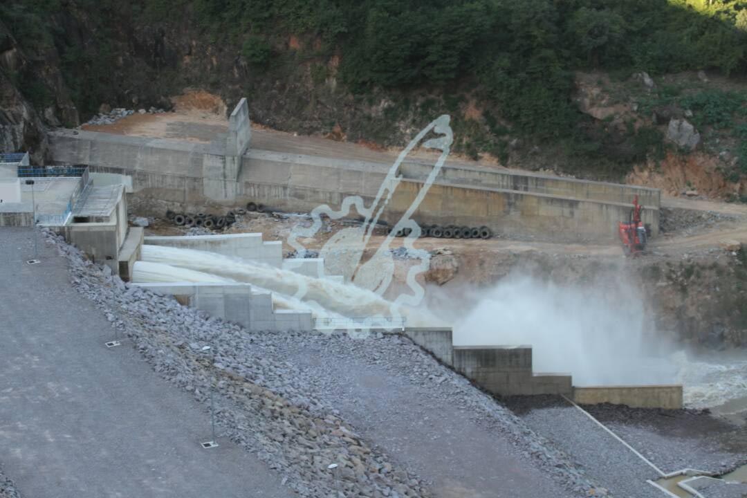 Tokwe Mukosi 7
