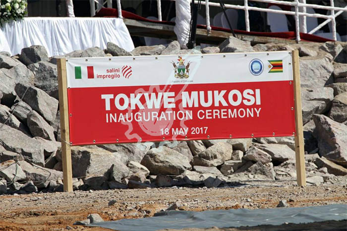 Tokwe picture