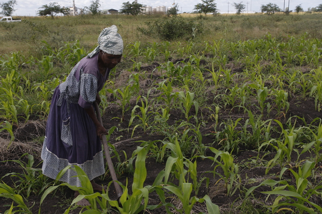 Chisumbanje villagers land quandary