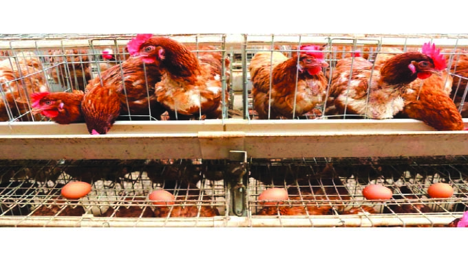 Kenya to scrap excise duty on eggs, onions from EAC