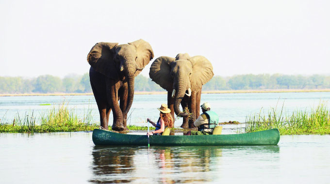 Landscape conservation strategy: A pathway to Vision 2030