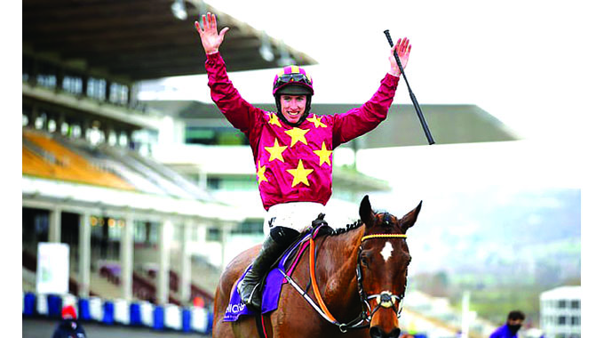 Minella Indo strikes gold, punter wins big