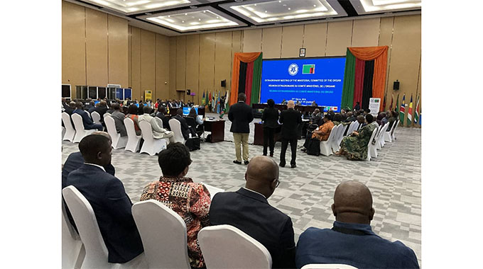 DRC, Mozambique conflicts under scrutiny