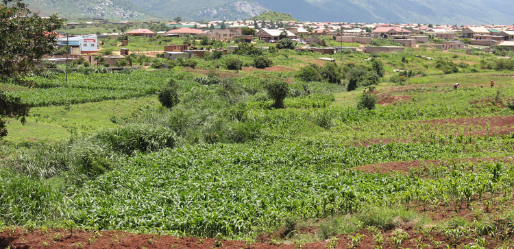 The summer season is upon us and City of Mutare is encouraging those who want to practice urban agriculture in Mutare to adopt sustainable farming practices to protect our land from environmental degradation