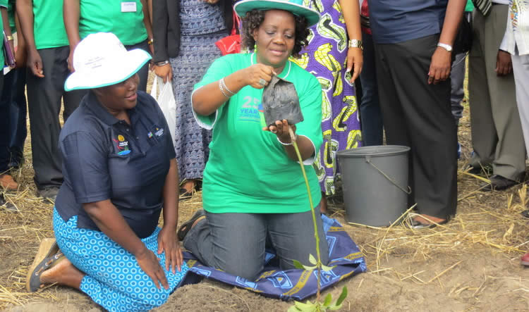 Namibia yakasima miti