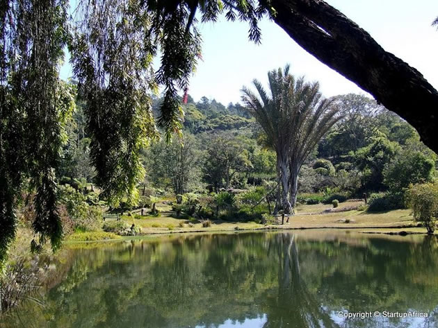 Vumba: The grand scenery of Manicaland