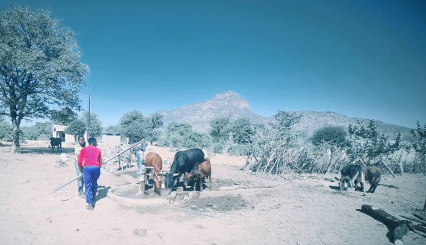 Water shortages hit Chipinge cattle farmers