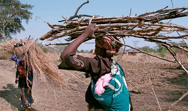 The break of dawn presents rural poor women with a challenge to fetch firewood among other resources directly affected by climate change