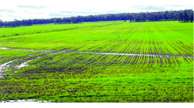 Strategies to address challenges of waterlogging