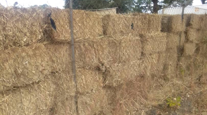Farmers start hay baling