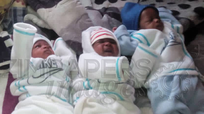 Bindura couple with triplets appeals for help